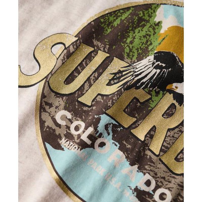Superdry Travel Souvenir Relaxed Tee image number 2